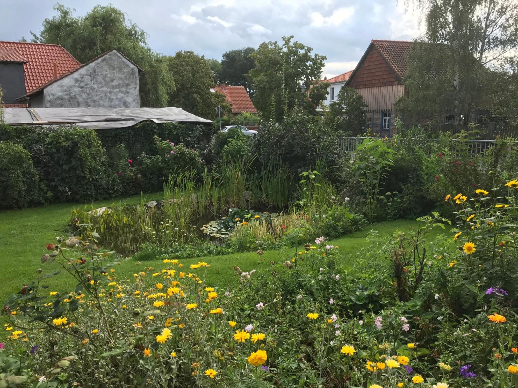 Schoene Gemuetliche Ferienwohnung Mit Kamin I Im Harz Darlingerode Exterior photo